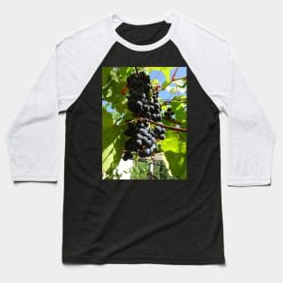 A bunch of black grapes under the blue sky Baseball T-Shirt